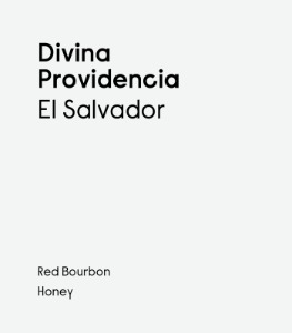 [El Salvador] Divina Providencia R.Bourbon Honey