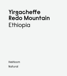 [Ethiopia] Yirgacheffe Redo Mountain Heirloom Natural