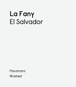 [El Salvador] La Fany Pacamara Washed