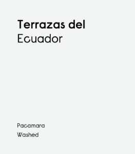 [Ecuador] Terrazas del Pisque Pacamara Washed #003